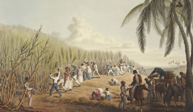 Illustration of slaves working the fields