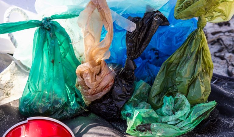 Assorted plastic bags of different colors