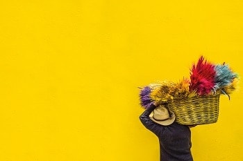 Woman carrying basket