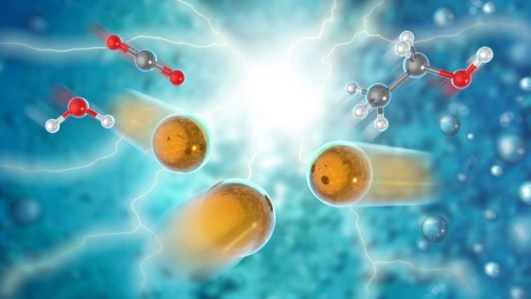 Argonne National Laborotary catalyst illustration