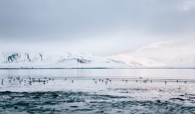 Arctic landscape