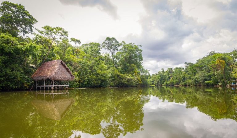 Amazon river