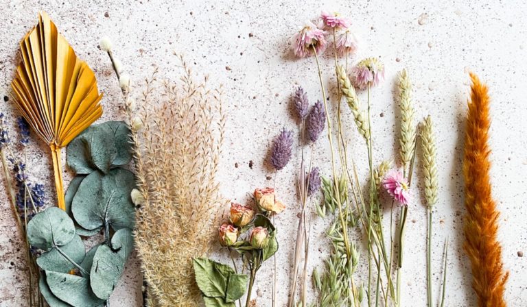 Dried flowers