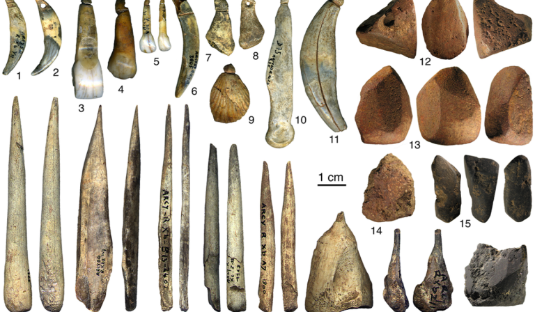 Châtelperronian stone tools (above) and ivory tools and jewellery (below)