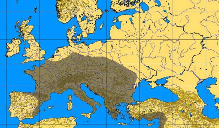 Aurignacian Territory