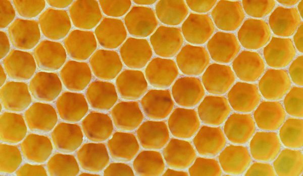 Honeycomb