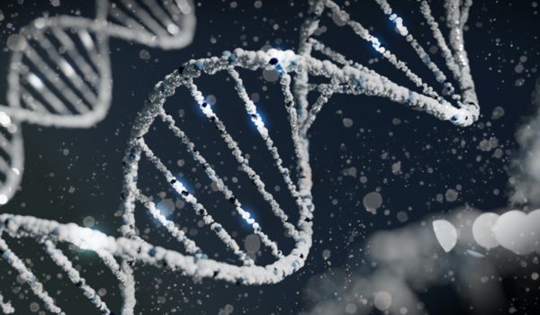 Representation of DNA double helix