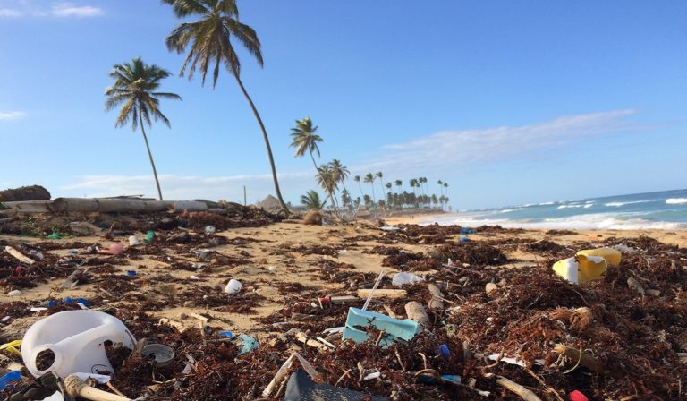 Plastic waste at the beach