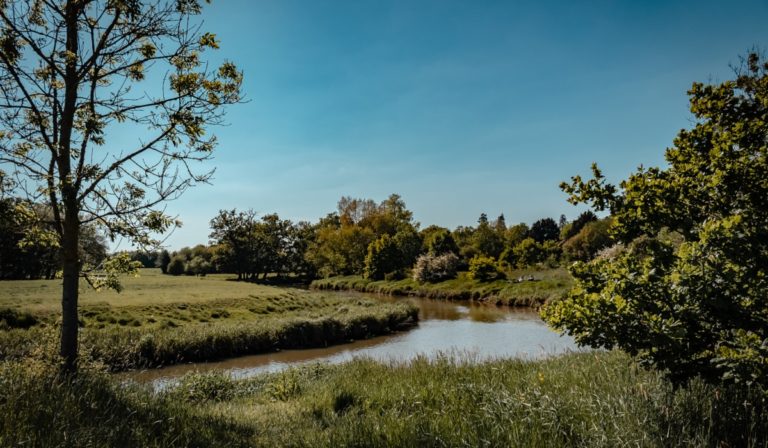 A river and surrounding trees and grasslands