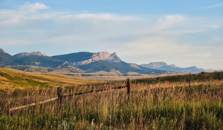 Montana landscape