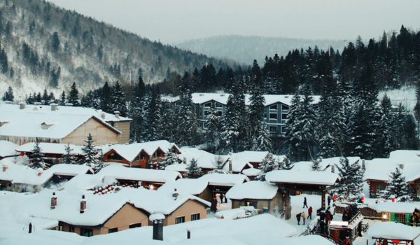 Houses in the snow