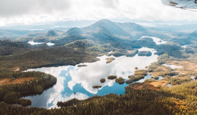 Aerial view of Tongass National Forest