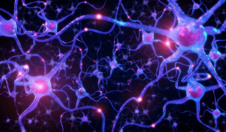 Neurons inside human brain,Neuronal network with electrical activity of neuron cells,3d rendering