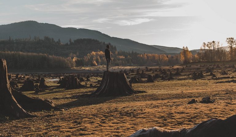 Man standing on stump