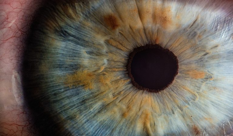 Human eye up close