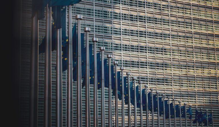 EU flags in a line