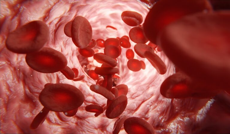 Depiction of blood cells