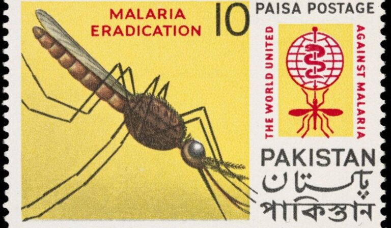 Pakistani malaria eradication stamp