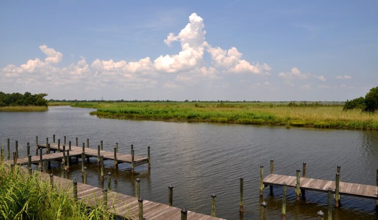 5 River Delta Resource Center, Alabama