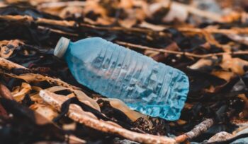 A plastic bottle at the beach