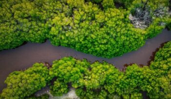 Aerial view of river