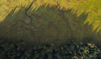 Aerial view of wetlands