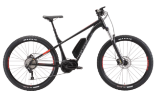 Asambe Electric Bike