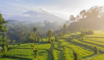 Bali landscape with mountain in background|joel vodell unsplash