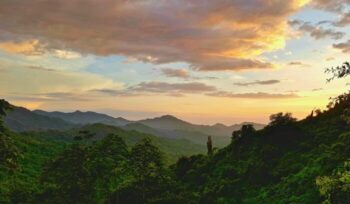 Colombia jungle at sunset