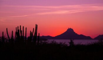 Desert landscape at sunset