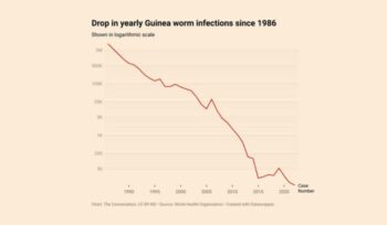 Guinea worm infections bar graph