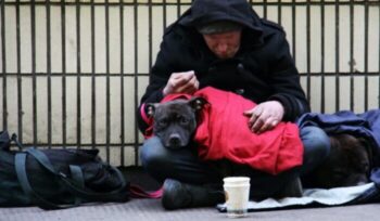 Homeless man and dog