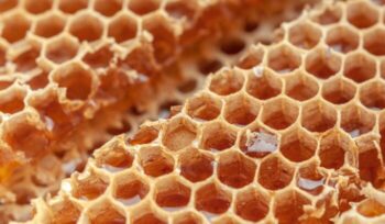 Honeycomb