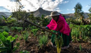 Indigenous woman in Ecuador|Indigenous Ethiopian woman