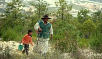 Man and child restoring forest in Oaxaca