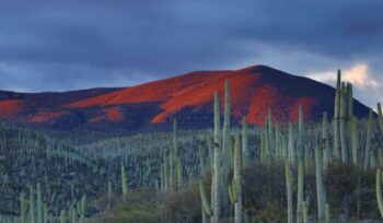 Mountains in Mexico