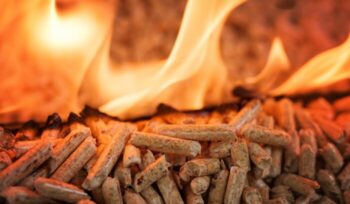 Pile of coniferous pellets in flames - wooden biomass