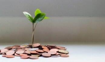 Plant growing out of coins