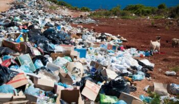 Plastic Beach|Amboseli National Park