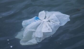 Plastic bag floating in the water|aron van de pol unsplash