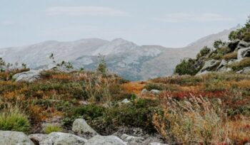 Siberia landscape