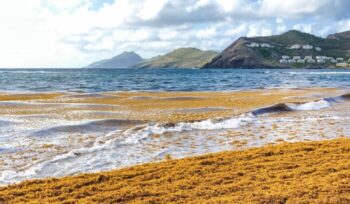 St. Kitts & Nevis shoreline