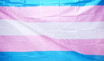 Trans pride flag