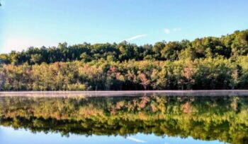 Trees reflecting in lake