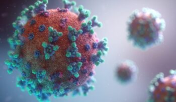 Visualisation of the Covid-19 virus