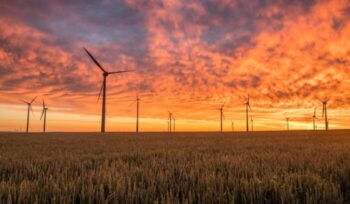 Wind turbines in field at sunset|american public power association unsplash